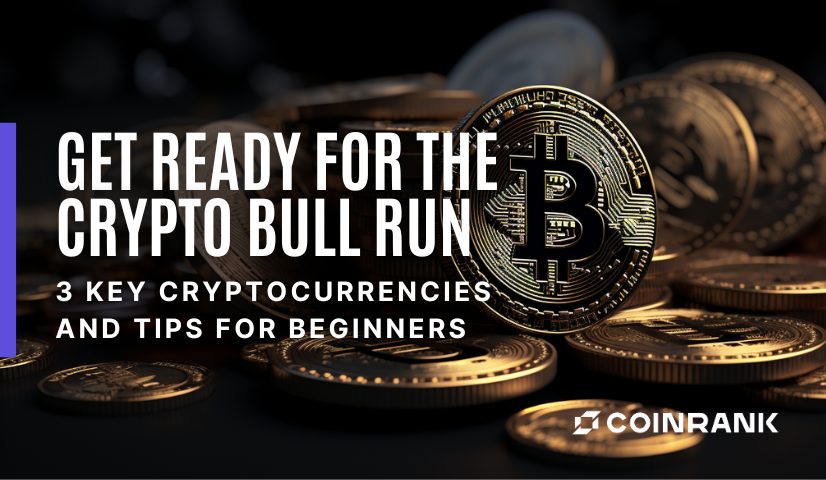 Get Ready For The Crypto Bull Run: 3 Key Cryptocurrencies And Tips For ...