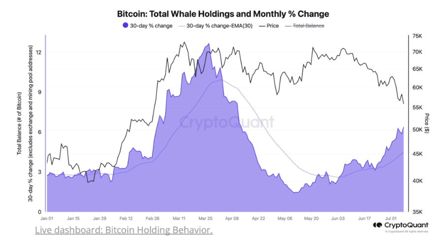 Bitcoin Bull-Bear Turning Point