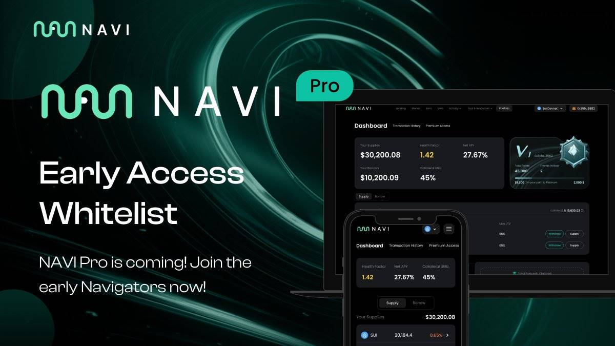 NAVI Protocol