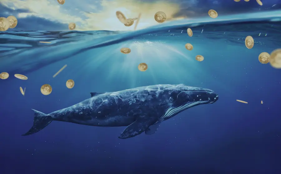 Bitcoin Whale