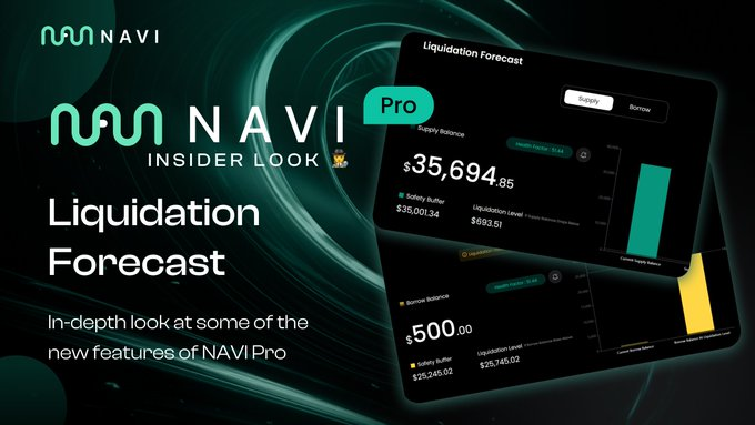 NAVI Pro Liquidation Forecast