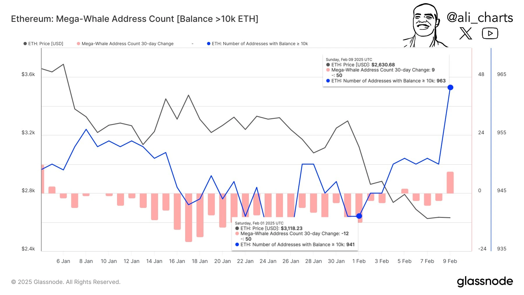 Number of Whales Holding Over 10,000 ETH Increased by 2.3%